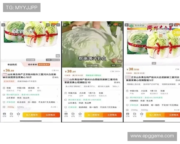 探索白菜网站：获取优质资源的最佳平台