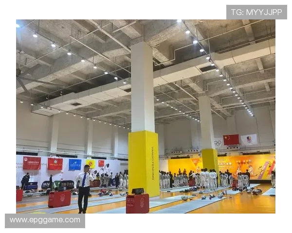 一场拳击比赛：勇者之间的生死较量与荣耀之路